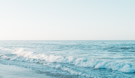 {area}のペット探偵なら猫探偵センター