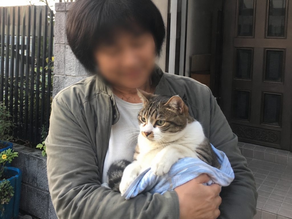 岩手で保護された迷子猫を飼い主が抱いている捜索事例のイメージ１