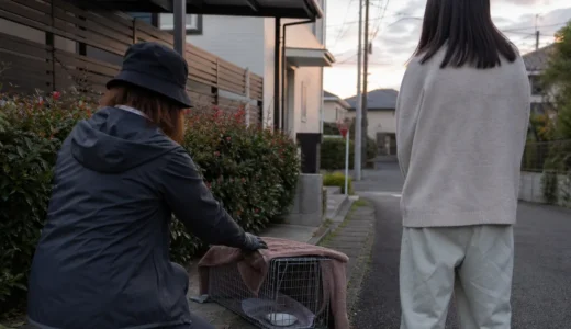 猫探偵が使う捕獲器とは？設置前に知る安全な保護の進め方