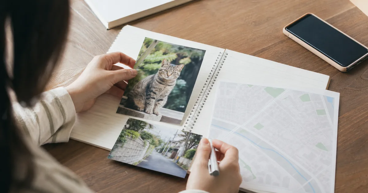 脱走猫の情報を整理する様子